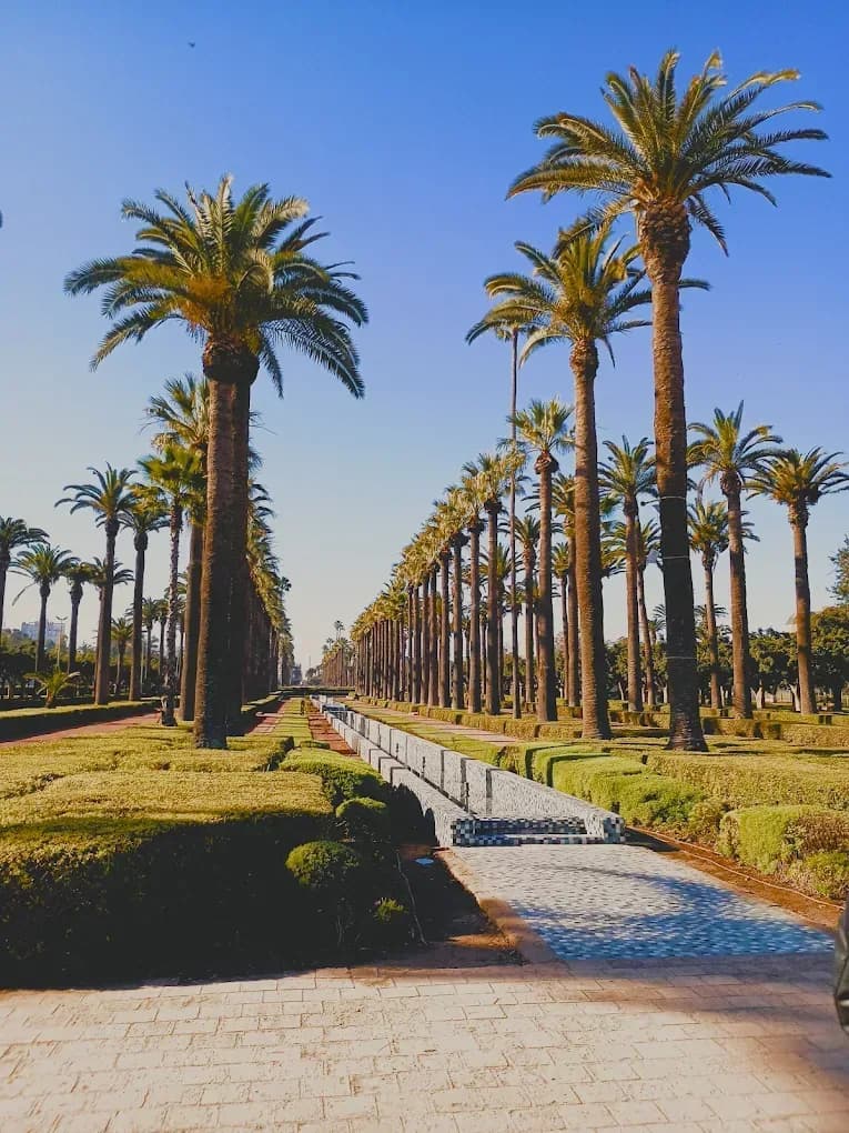 Avenida de palmeras en Marrakech
