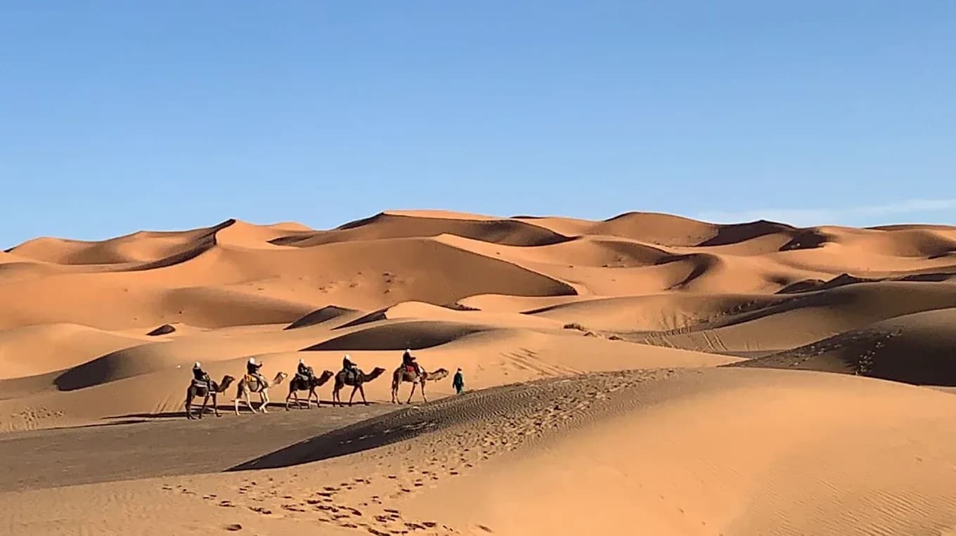 Caravana entre las dunas del Sahara