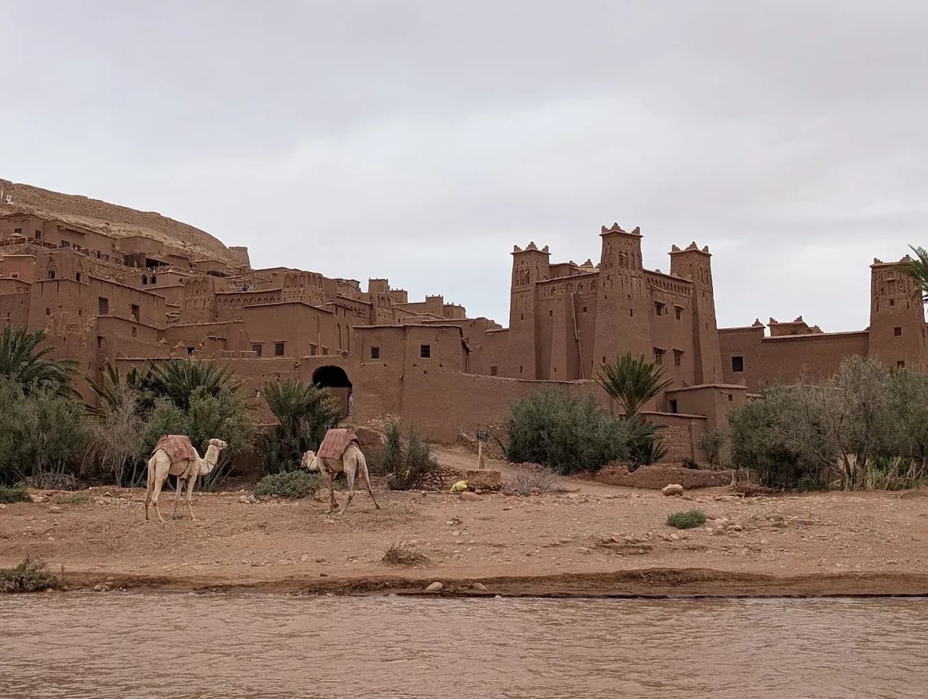 Ksar de Aït Ben Haddou con dromedarios junto al río