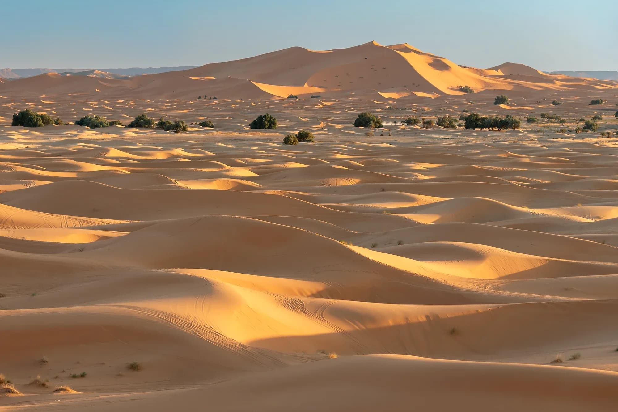 Mar de dunas de Erg Chebbi con ondulaciones de arena y luz suave de tarde