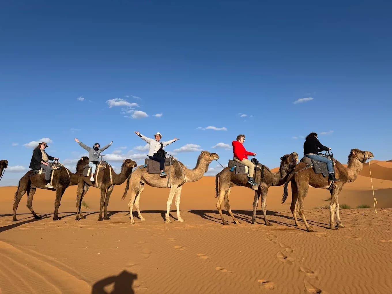 Caravana de dromedarios en las dunas con cielo azul