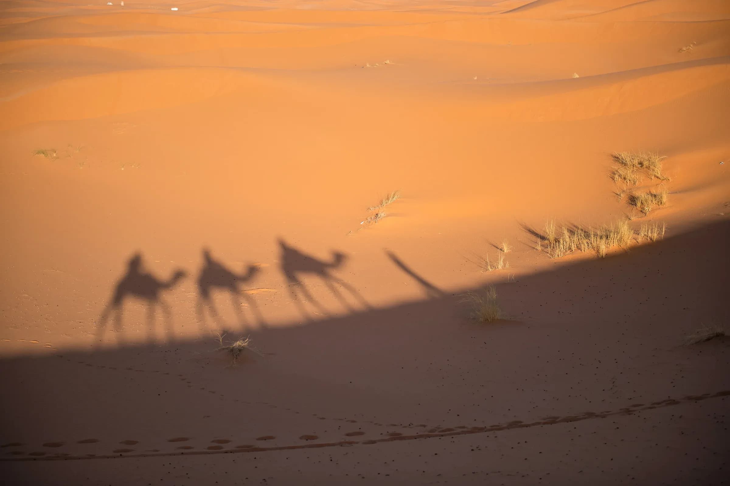 Sombras de una caravana de dromedarios sobre la arena de las dunas de Erg Chebbi, Merzouga