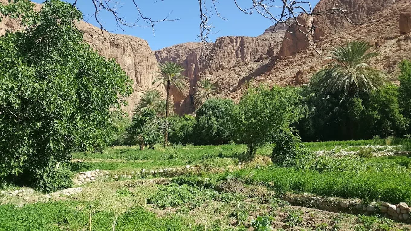Valle verde entre acantilados