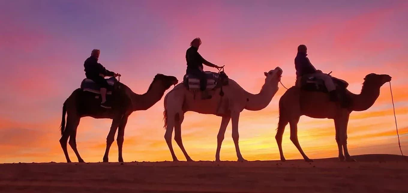 Siluetas de caravana con cielo rosado