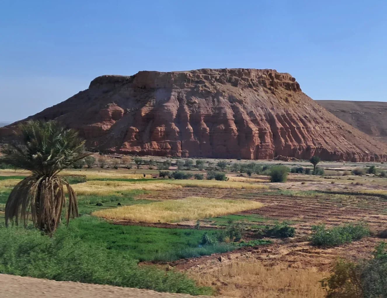 Oasis y meseta en el valle del Ziz