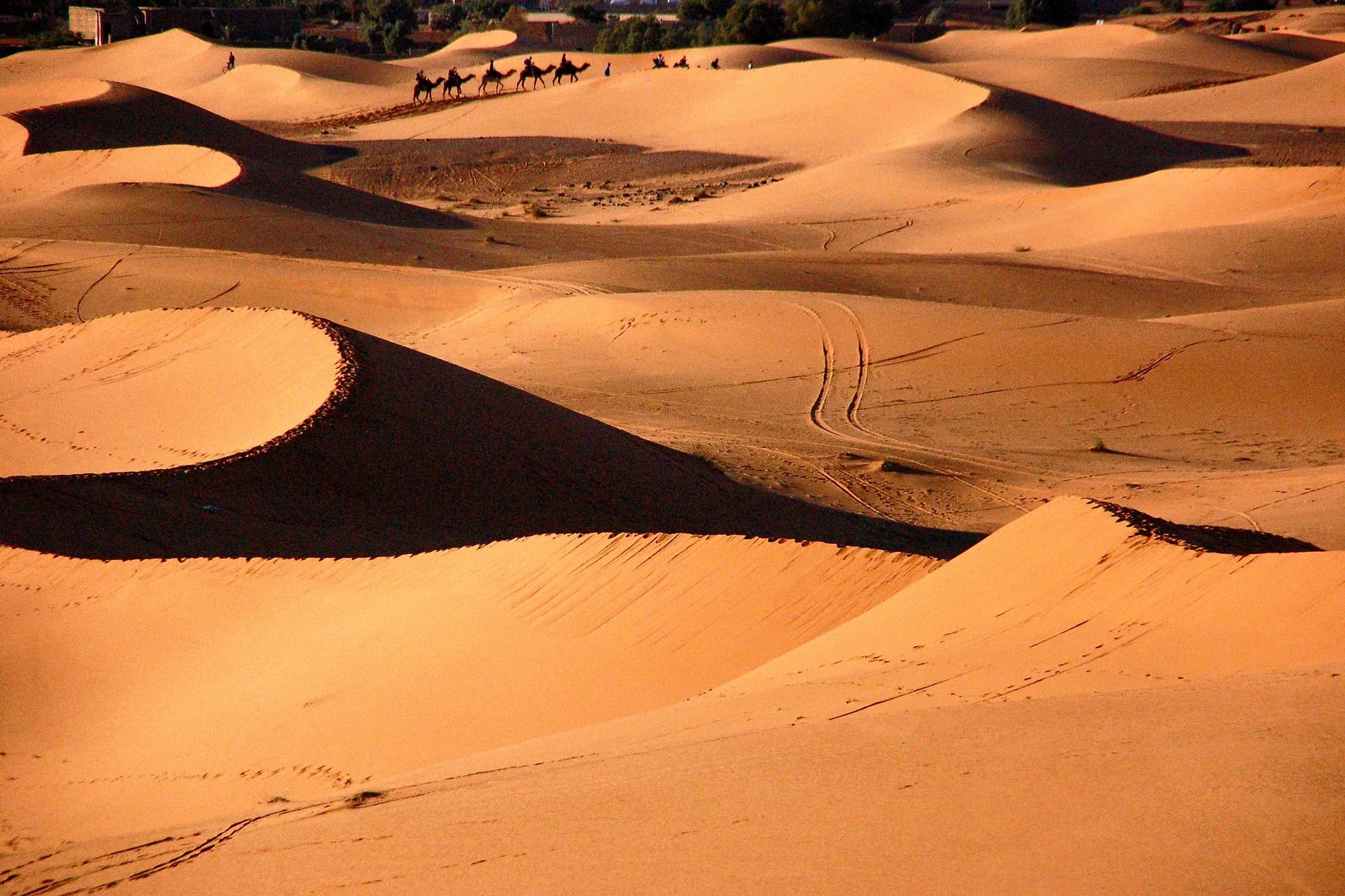 Caravana de dromedarios en lo alto de las dunas de Erg Chebbi con sombras alargadas