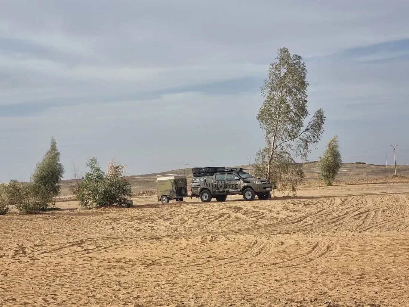 4x4 en el desierto de piedra con árboles