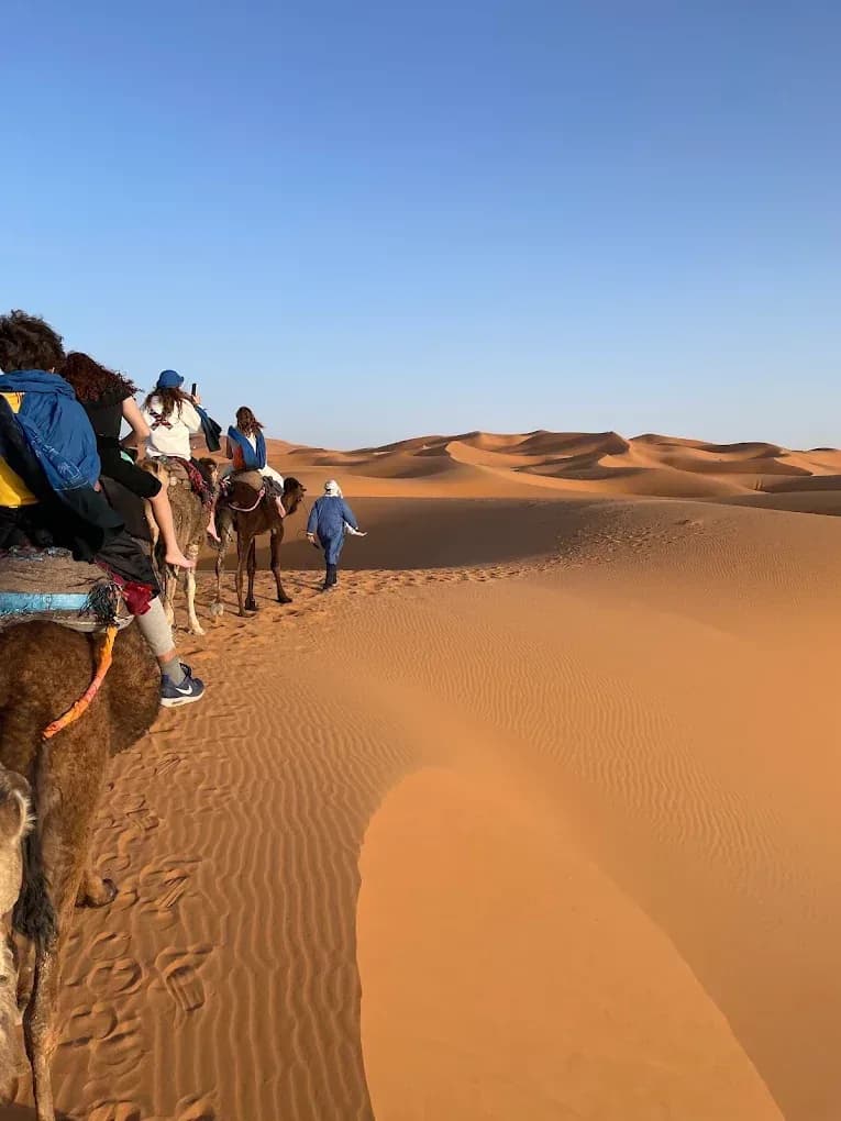 Paseo en dromedario por las dunas