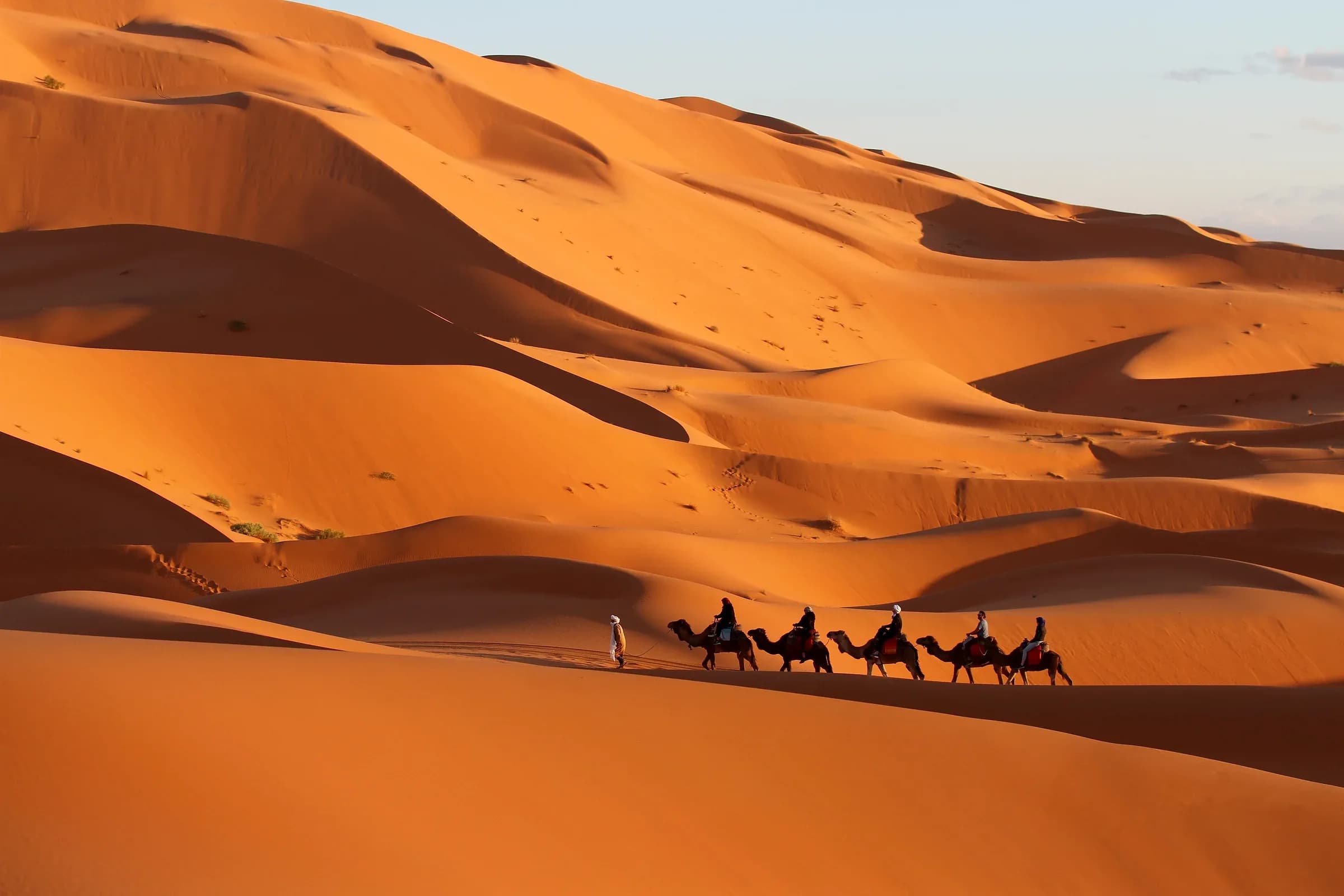 Caravana de dromedarios cruzando las dunas de Merzouga con luz cálida de tarde