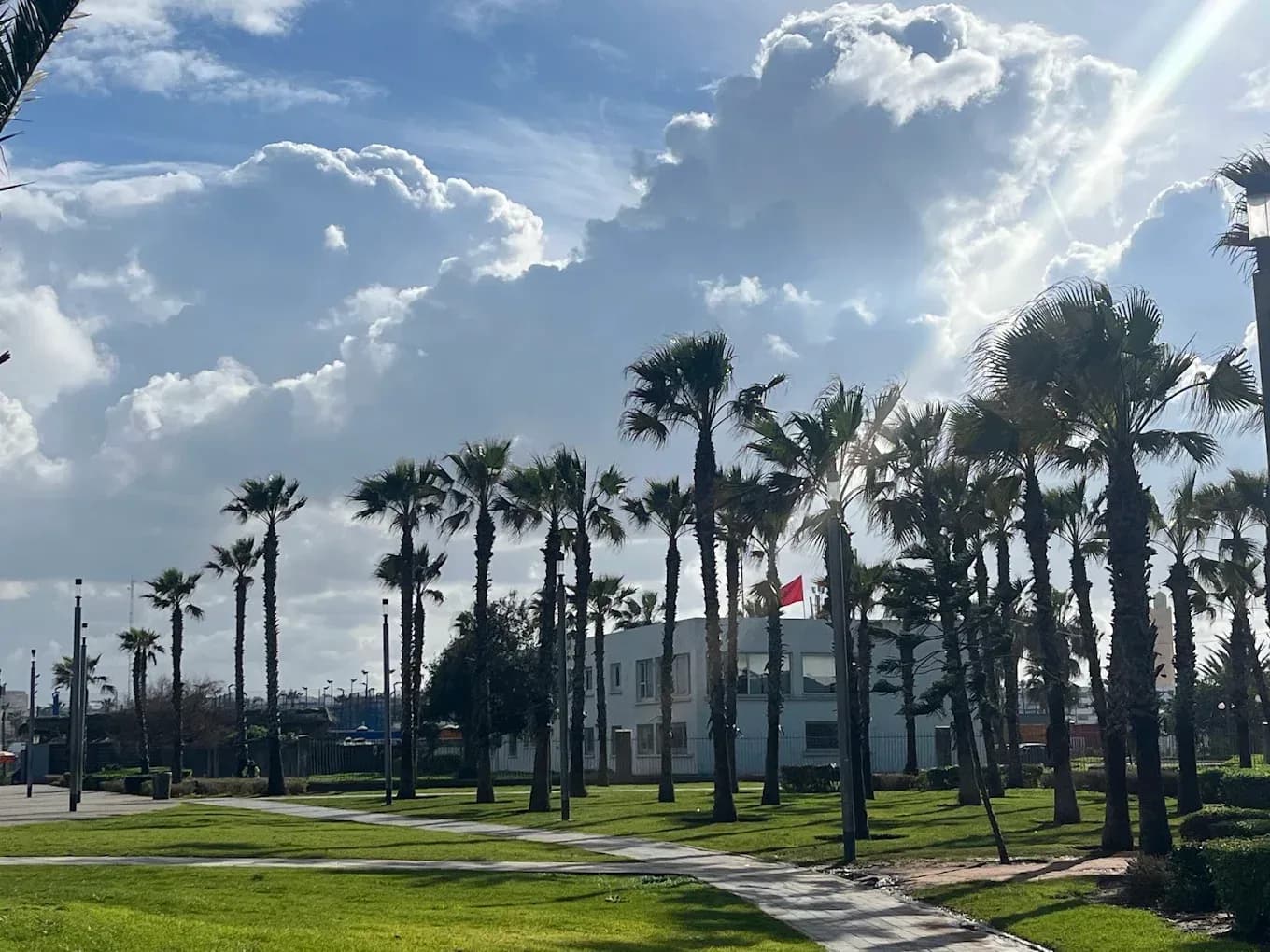 Jardín con palmeras en Fez