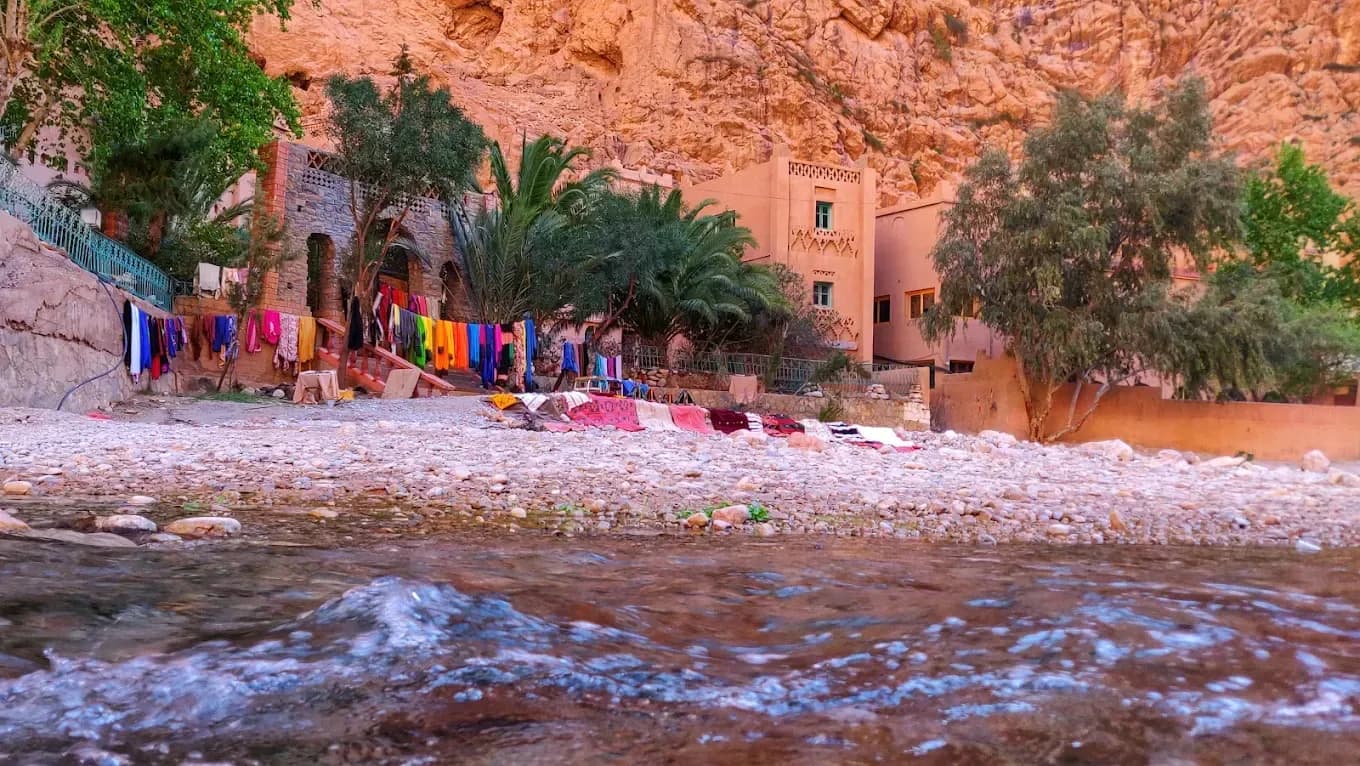 Riverbank in the Todra Gorge