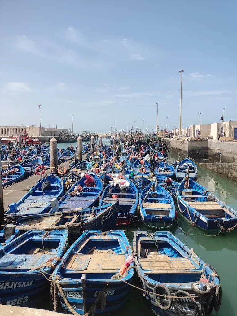 Blue boats in Essaouira harbour
