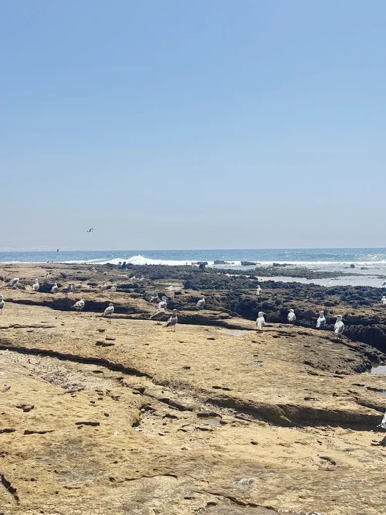 Rocky Atlantic coastline