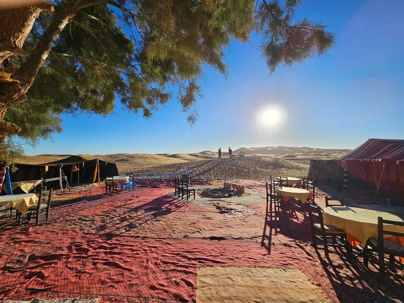 Tents and rugs at the camp