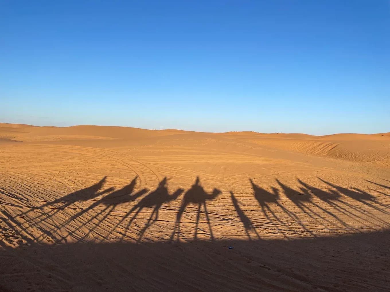 Sombras de la caravana sobre la arena