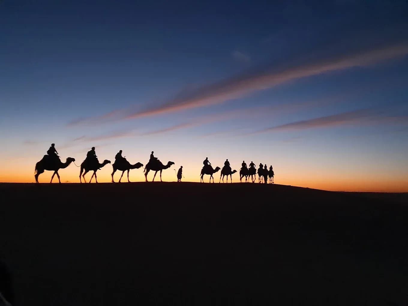 Siluetas de dromedarios al atardecer