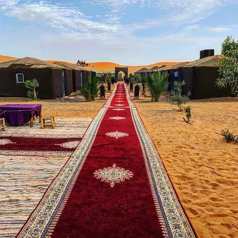Alfombra roja de entrada al campamento