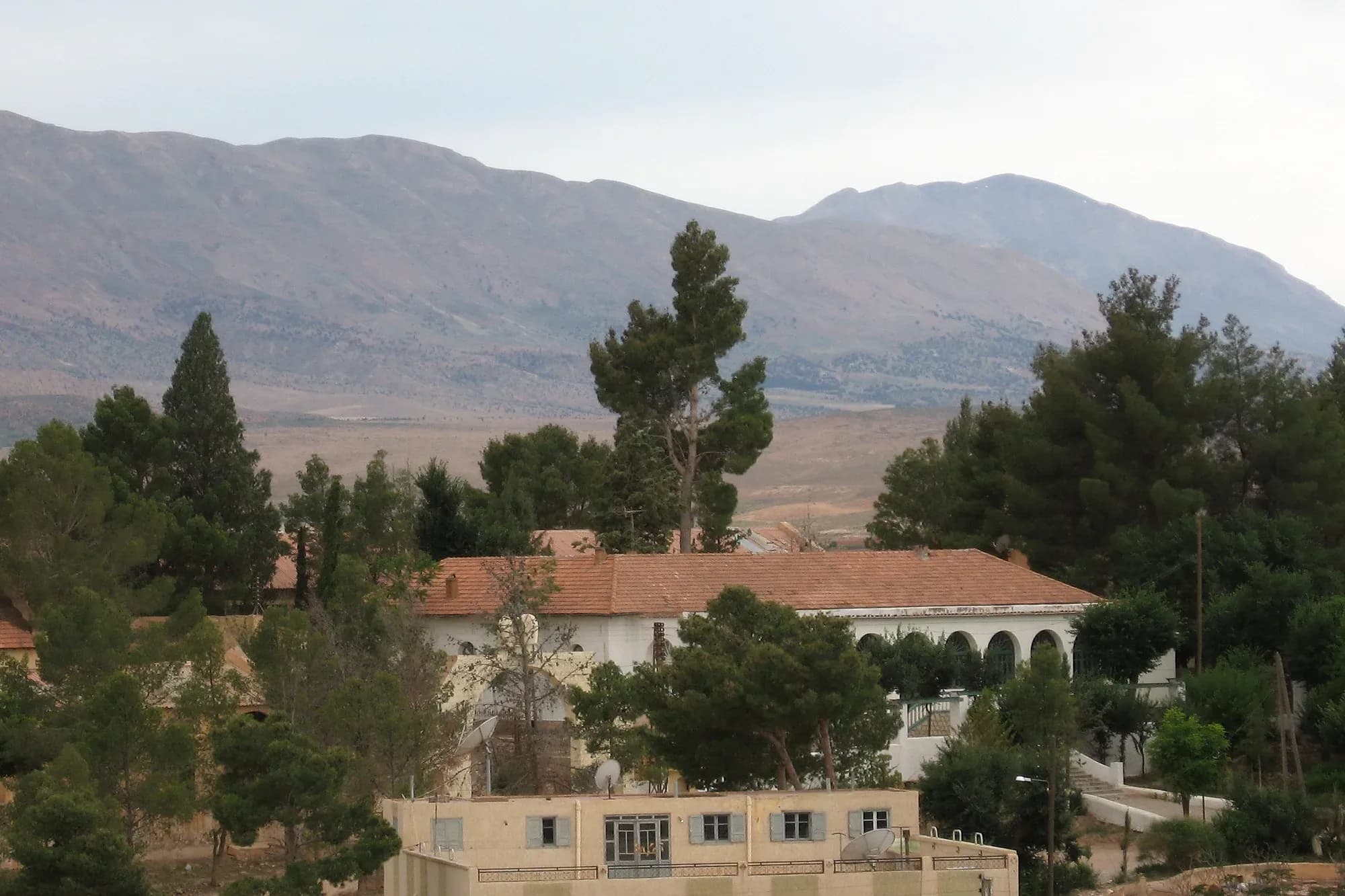Casas y pinos de Midelt con la cordillera del Jbel Ayachi al fondo