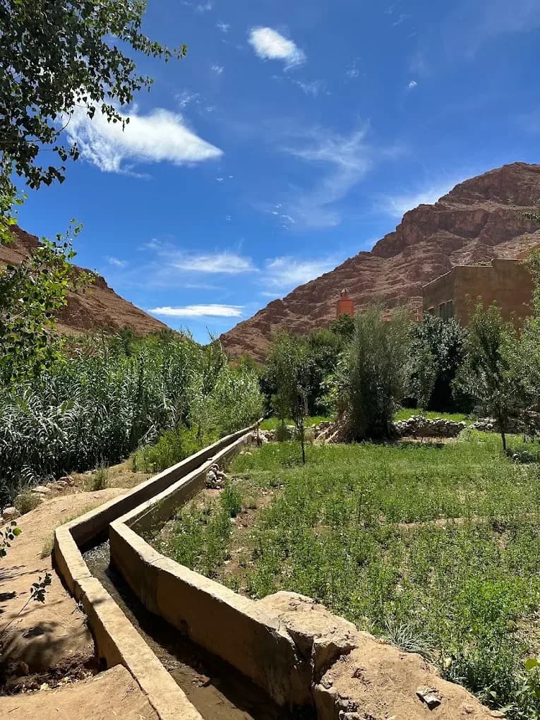 Acequia y cultivos en el valle del Ziz