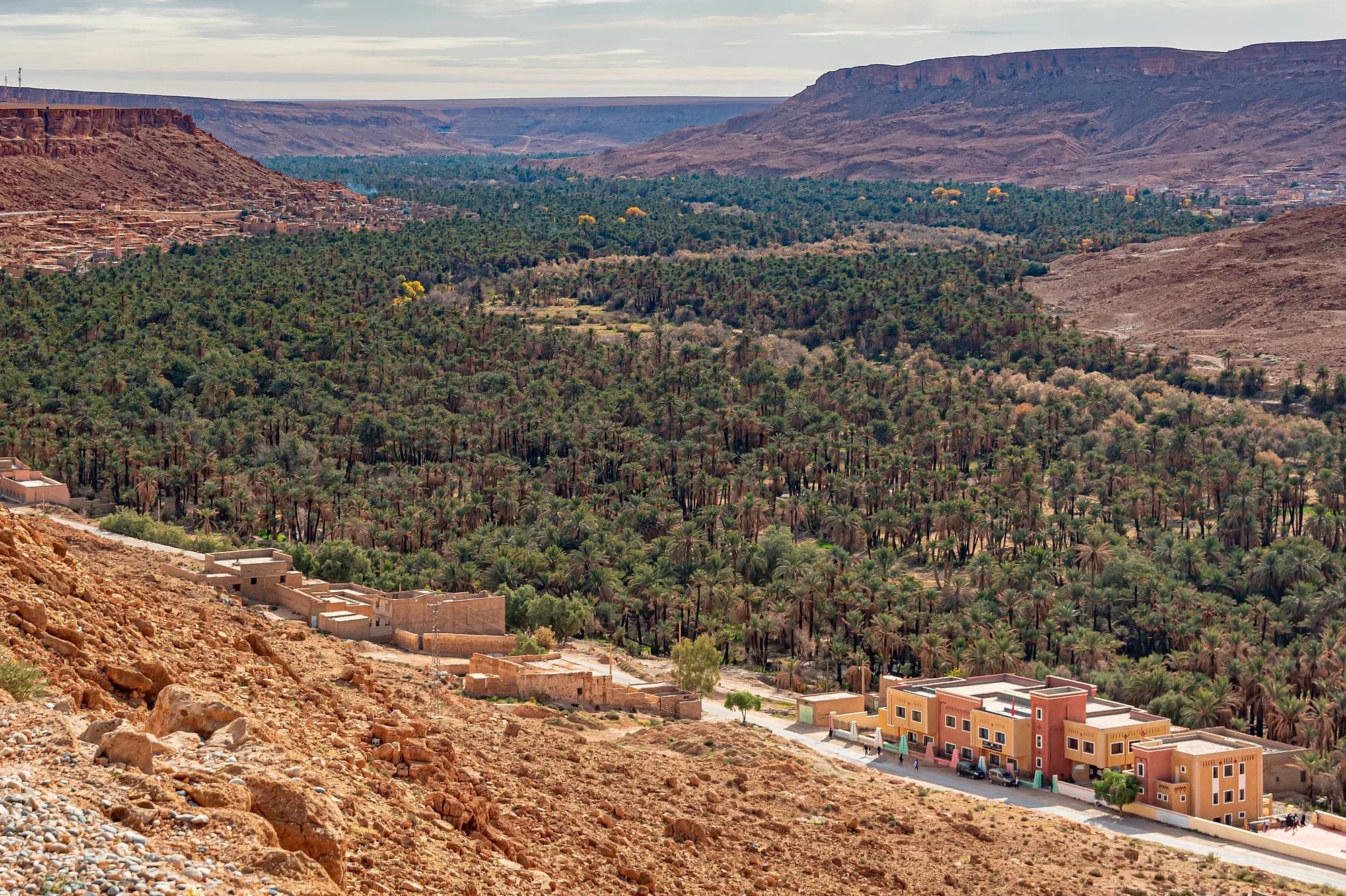 Palmeral del valle del Ziz entre paredes de roca rojiza, con casas junto a la carretera