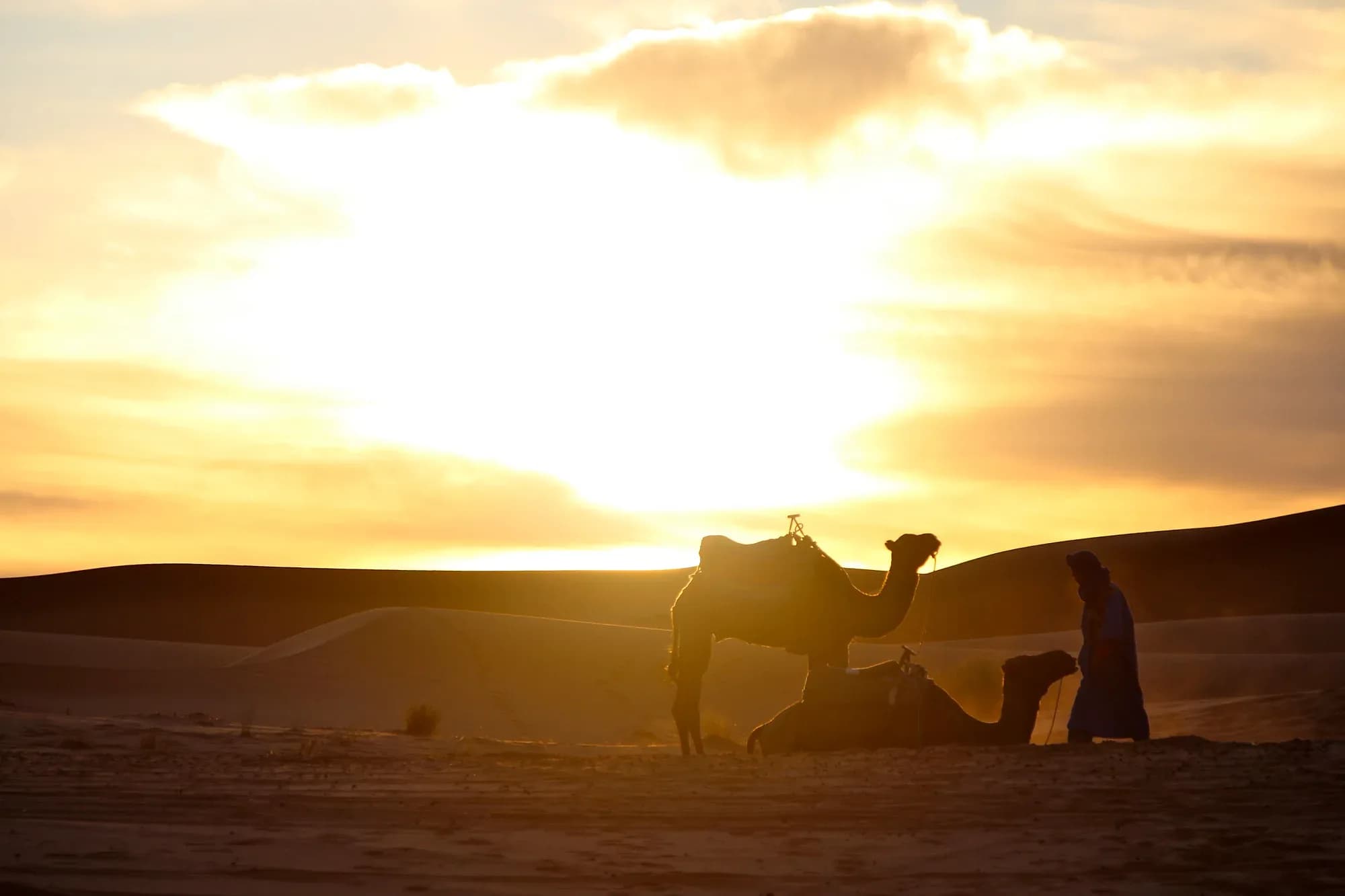 Silueta de un dromedario al atardecer en las dunas de Erg Chebbi, Merzouga