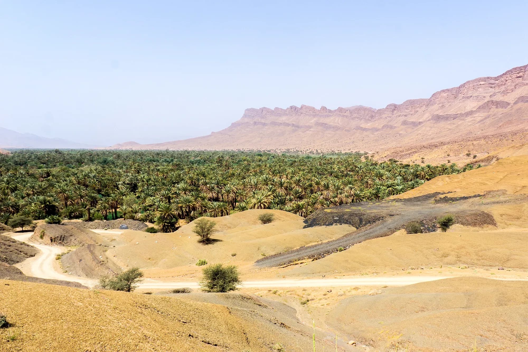 Palmeral del valle del Draa entre lomas desérticas y montañas rojizas