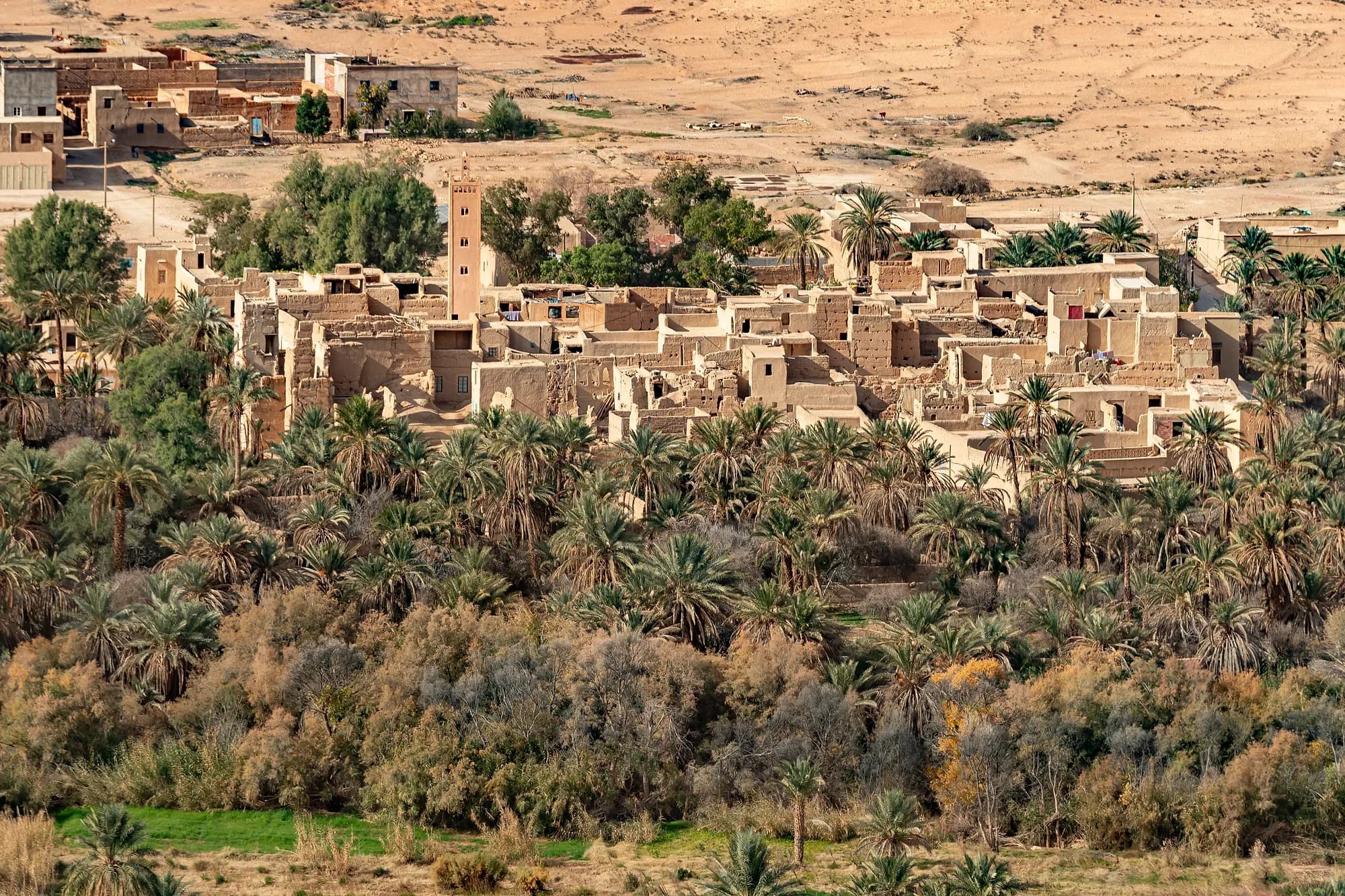 Ksar de adobe sobre el denso palmeral del valle del Ziz