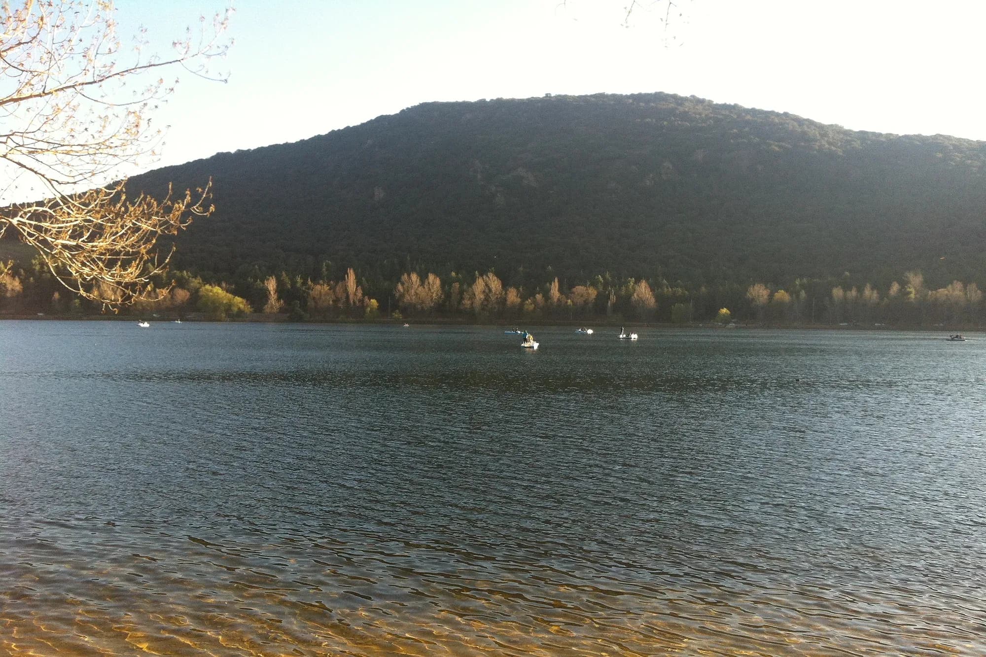 Lago de Dayet Aoua, cerca de Ifrane, con una colina boscosa del Atlas Medio al fondo