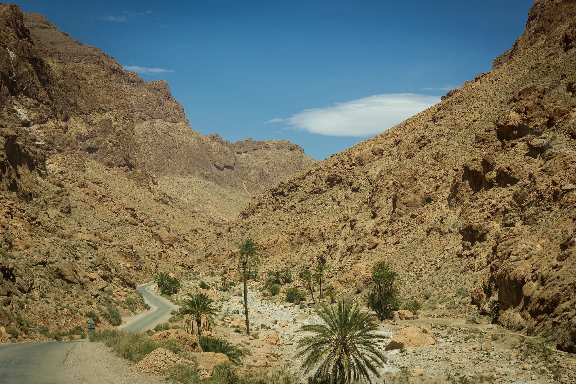 Palmeras y camino en el fondo del cañón del Todra entre laderas rocosas
