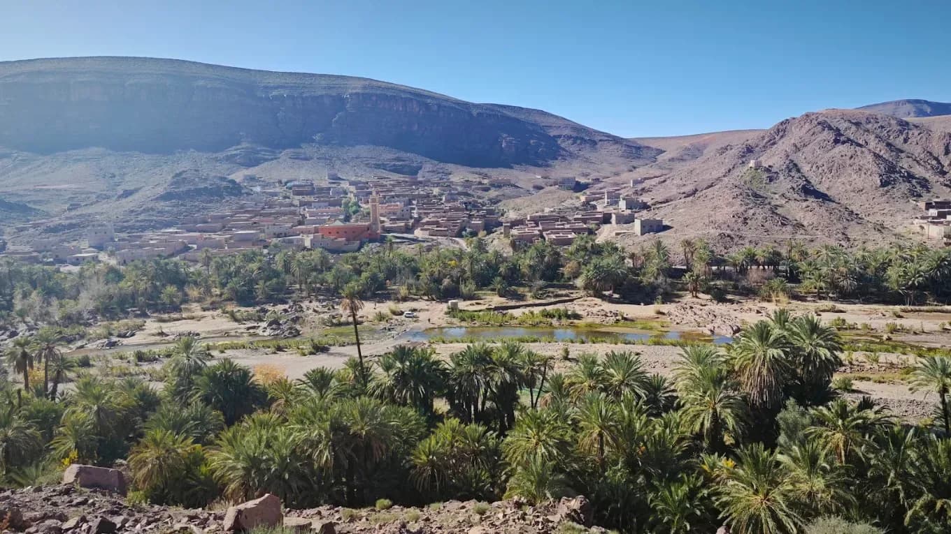 Palmeral del valle del Ziz