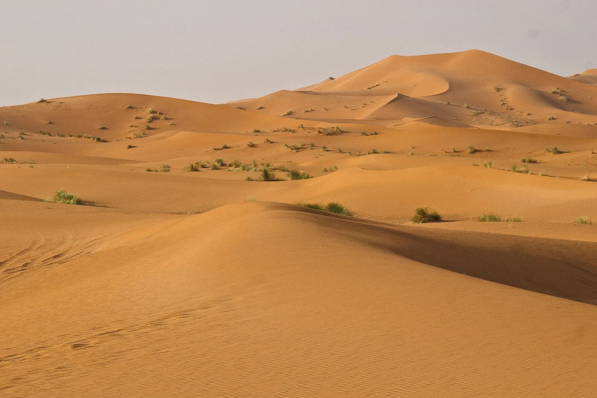 Dunas de Erg Chebbi a última hora de la tarde, Merzouga