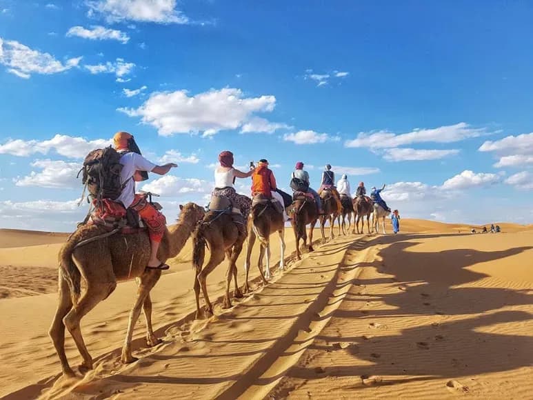 Caravana de dromedarios bajo cielo azul