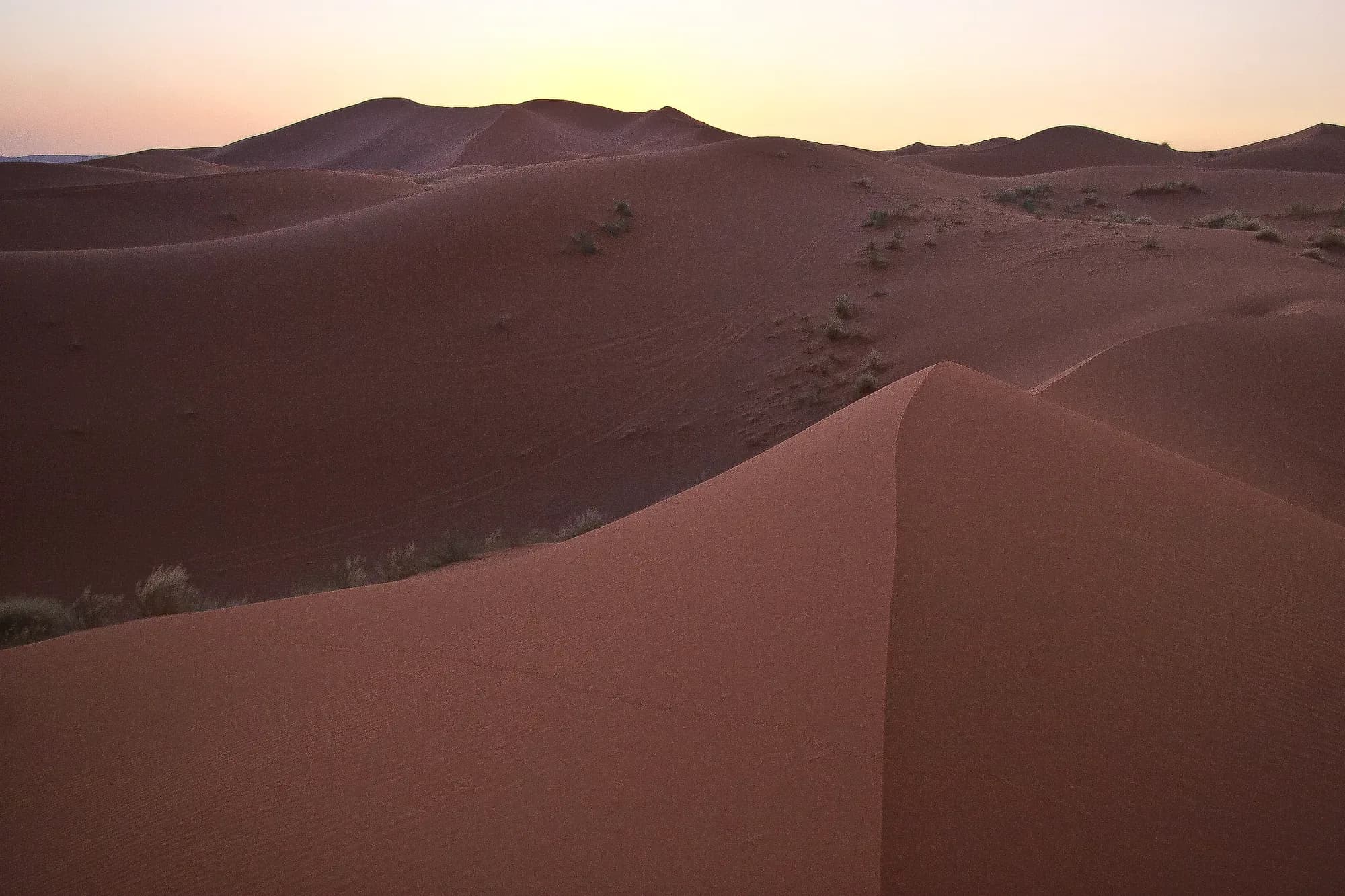 Dunas de Erg Chebbi en tonos rosados al atardecer, Merzouga