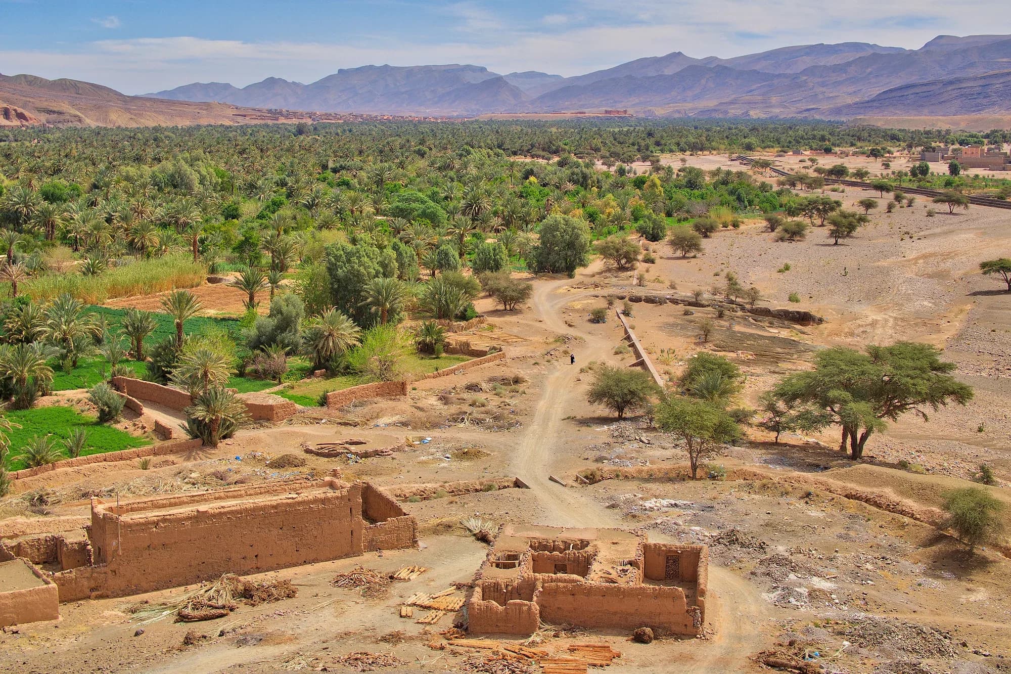 Vista del valle del Draa hacia el sur desde Agdz, con palmeral y casas de adobe