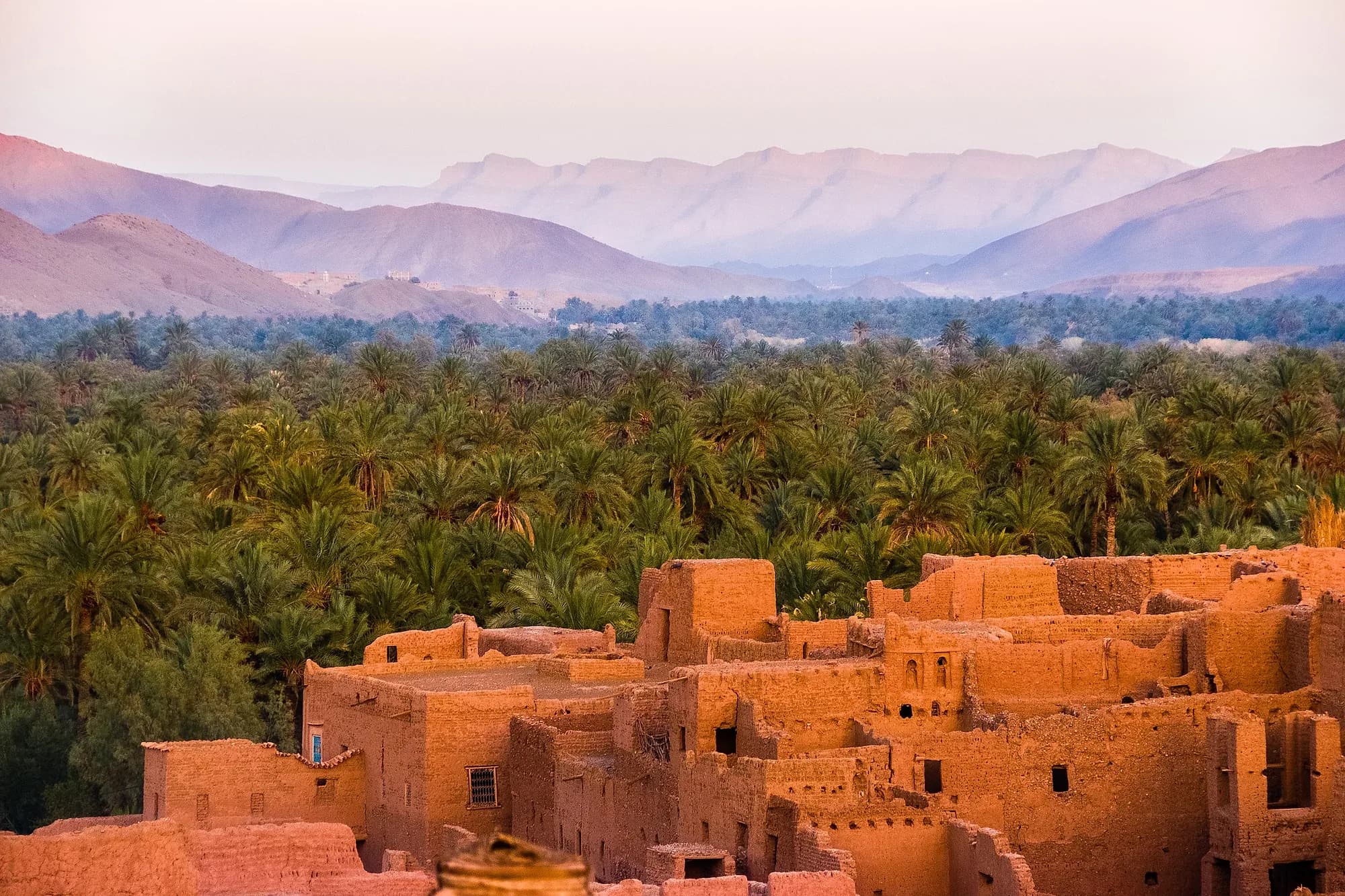 Kasbahs de adobe entre el palmeral del valle del Draa, con montañas al fondo