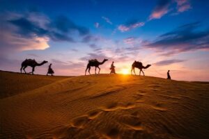 Vaje desierto Marruecos