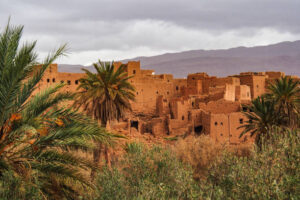 Vaje desierto Marruecos