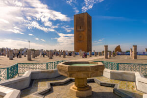 Vaje desierto Marruecos