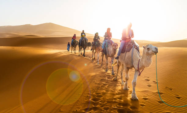 ¿Dónde se encuentra el reino de Marruecos?