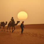 viaje desierto