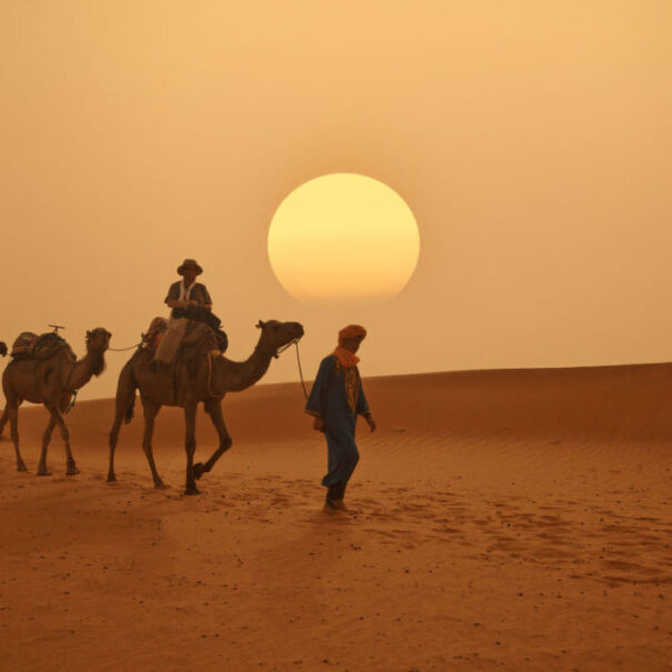 viaje desierto